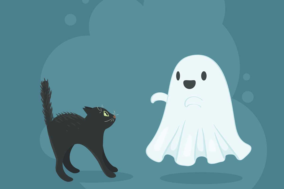 ghost-cat.jpg