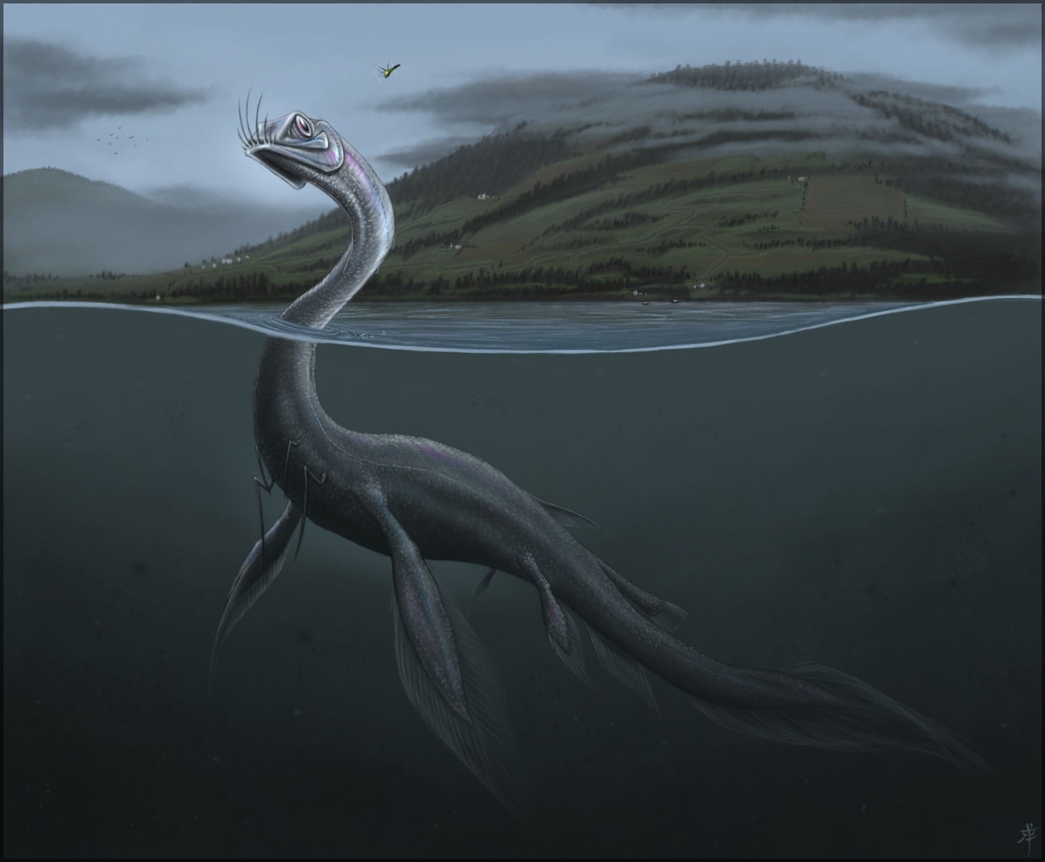 nessy.jpg