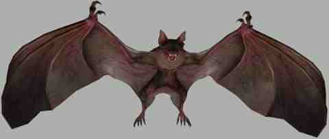 480px-Giant_bat_re0_model.jpg