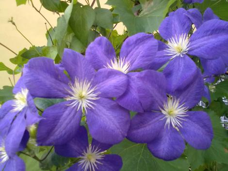 03072010206.jpg