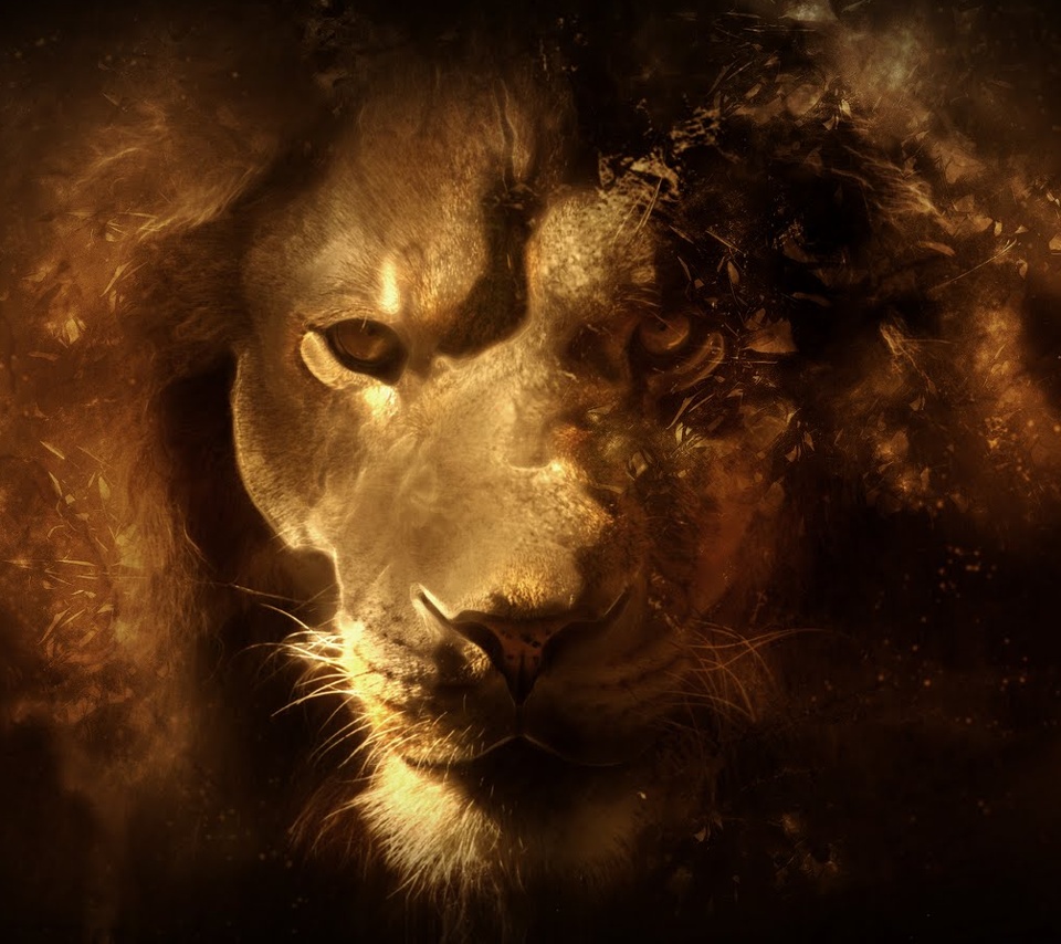 Lion_Abstract-wallpaper-9536895.jpg