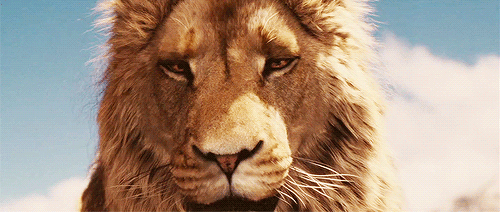 animatedlionbites.gif